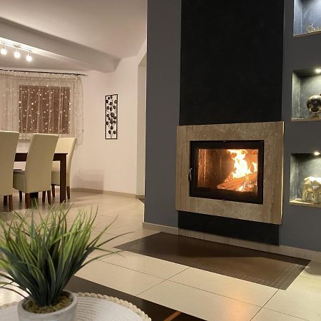 4 Bedroom Family House With Access To A Hot Tub Goczałkowice-Zdrój 외부 사진