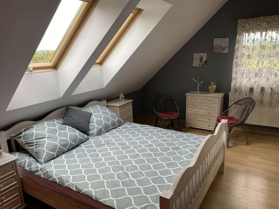 4 Bedroom Family House With Access To A Hot Tub Goczałkowice-Zdrój 외부 사진