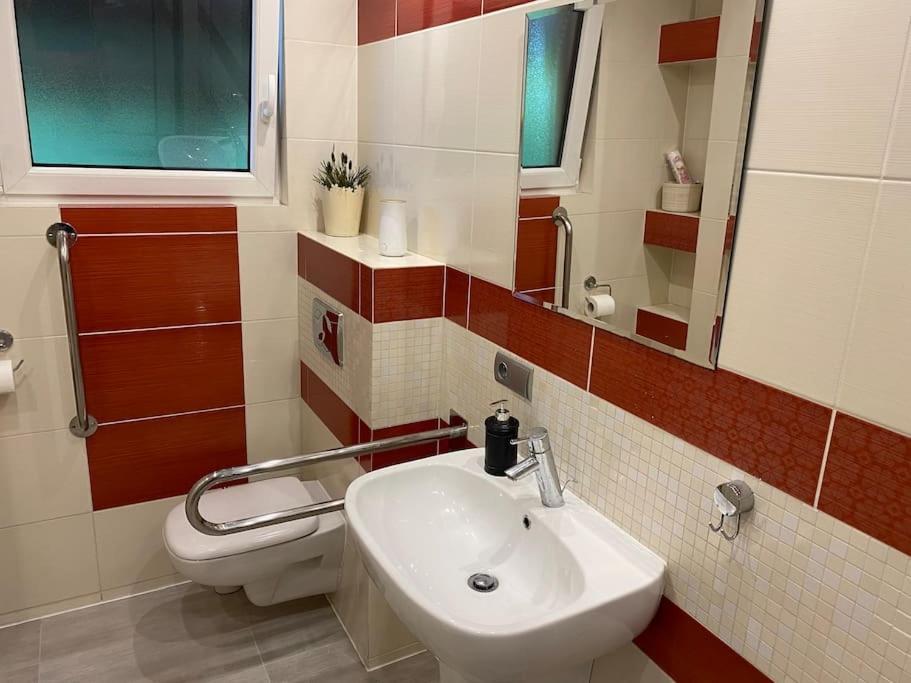 4 Bedroom Family House With Access To A Hot Tub Goczałkowice-Zdrój 외부 사진