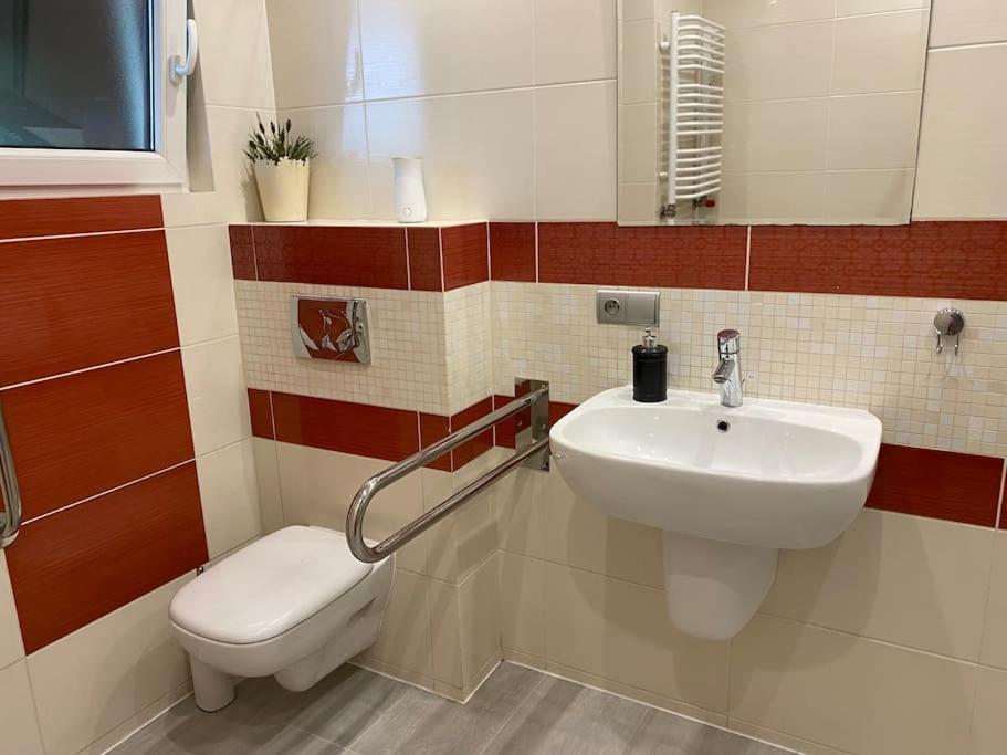 4 Bedroom Family House With Access To A Hot Tub Goczałkowice-Zdrój 외부 사진