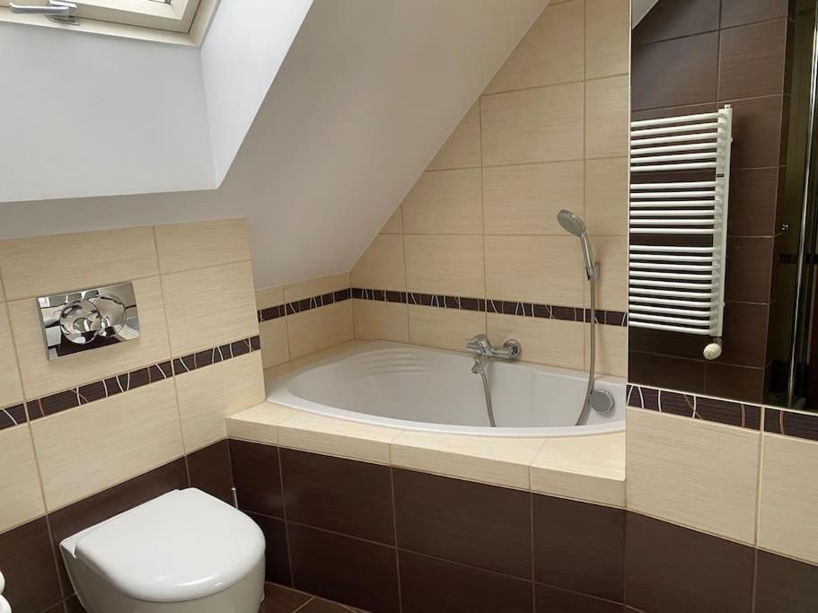 4 Bedroom Family House With Access To A Hot Tub Goczałkowice-Zdrój 외부 사진